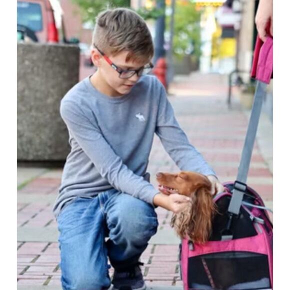 BERGAN Coastal Pet Comfort Carrier in  Heather Berry  Size Large / Used 2’s - Picture 2 of 6